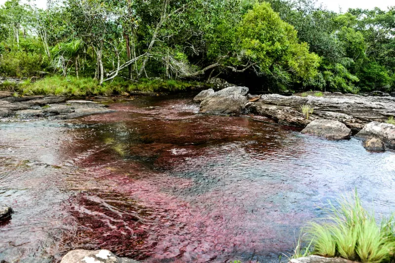 Natural Pools in San José