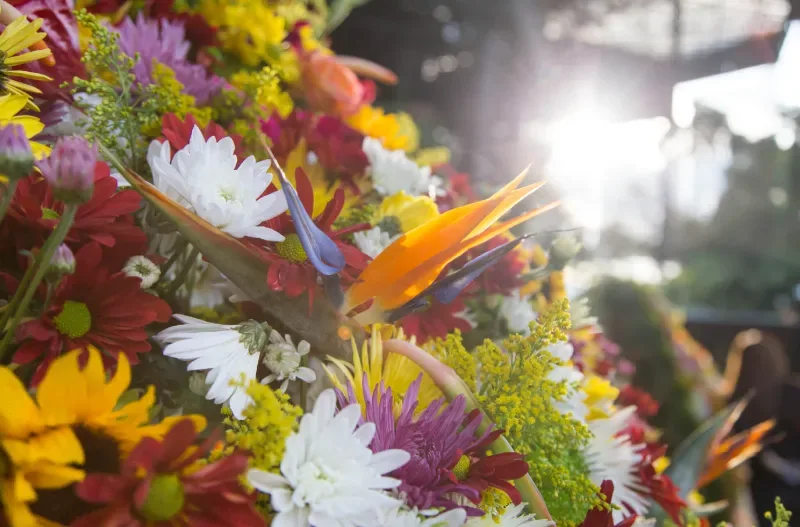 Feria de las Flores Medellin, Antioquia