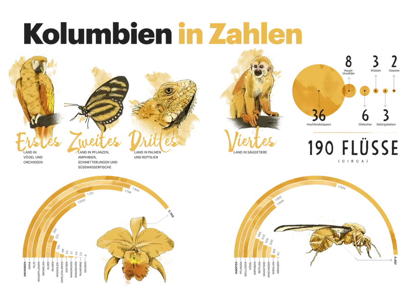 Millionen Stimmen, ein einziges Land.
