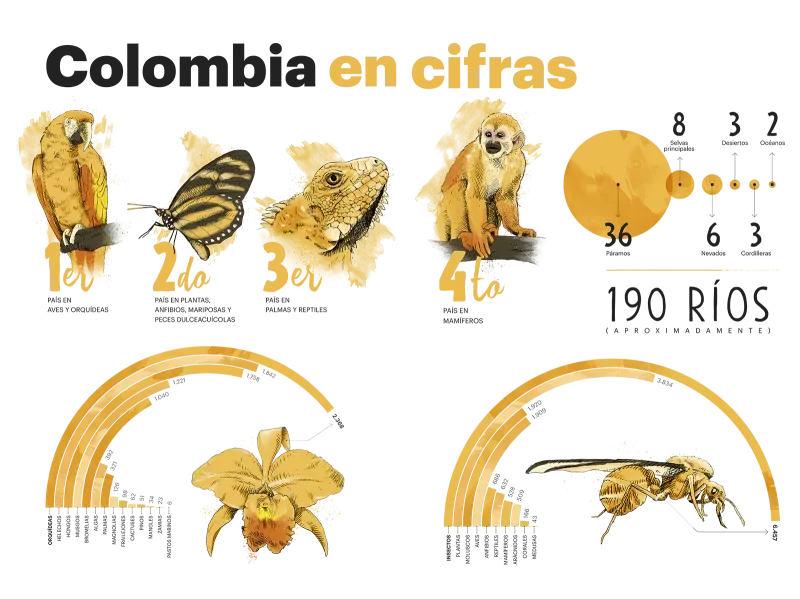 Millones de voces, un solo país.