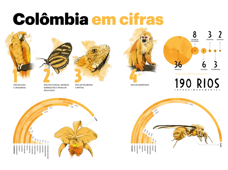 Milhões de vozes, um só país.