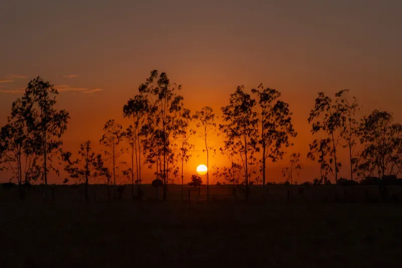 Atardecer en el Parque Nacional Natural El Tuparro, una de las actividades de turismo y posconflicto en Colombia