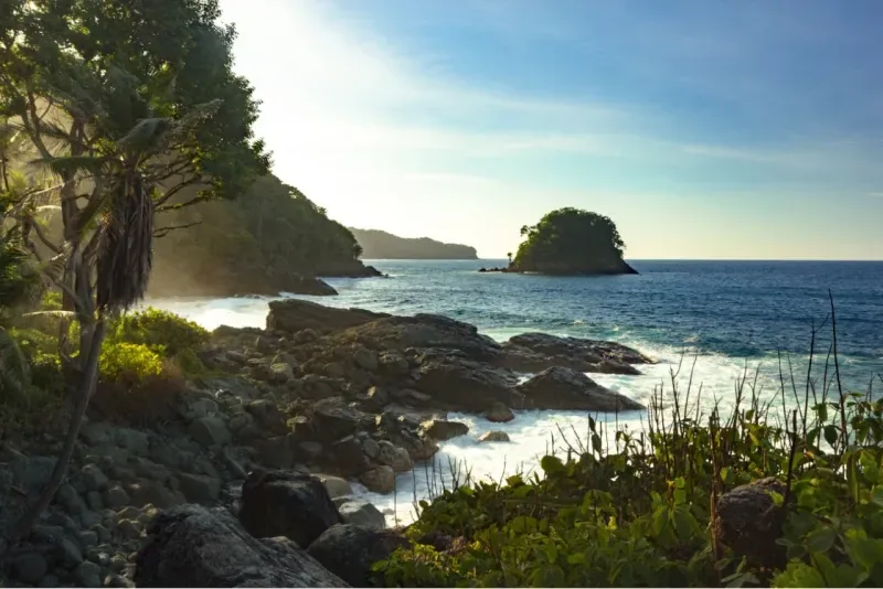 Rocky coast with waves, lush vegetation, and a small islet on the horizon.