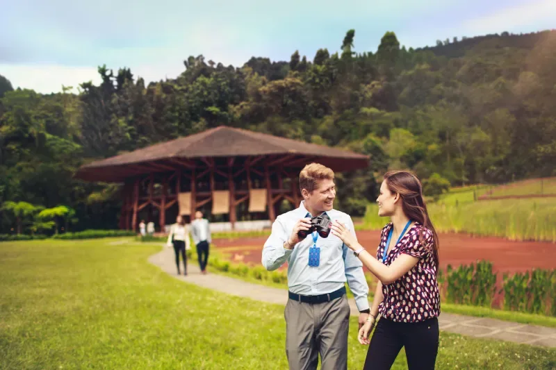Enjoy the colombian cofee in one of the most beautiful places of the contry 