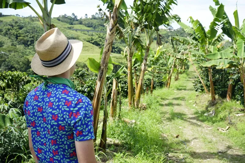 Tourist in a coffee landscape in Armenia, Colombia