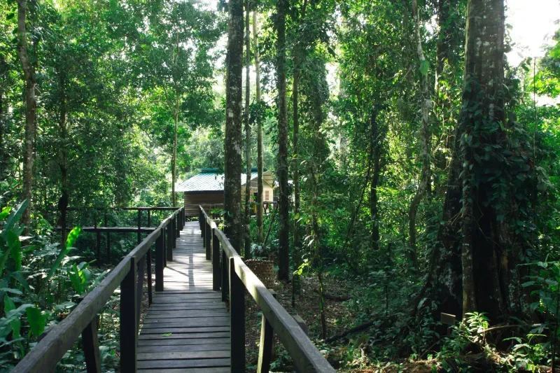 Ecoparque