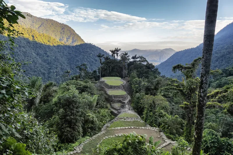 Ciudad Perdida con sus escaleras rústicas y una abundante vegetación, es parte de las iniciativas de turismo y posconflicto en Colombia