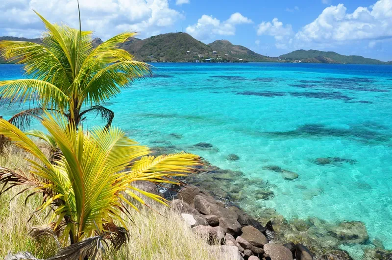 Palm trees, the coast, and the blue sea of San Andrés and Providencia, one of these native lodges is waiting for you.