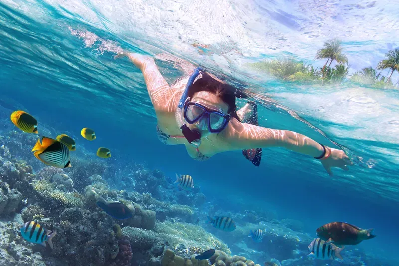 Una turista buceando en el mar de Cartagena con peces amarillos alrededor, hace la actividad de Mindful Diving