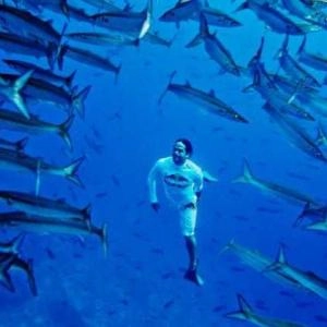 Gorgona Island