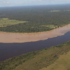 Foto de la estrella fluvial del oriente