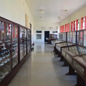 Fotos Museo de Mineralogía