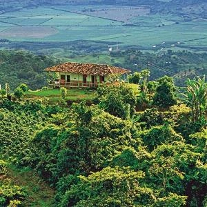 Vive la cultura cafetera desde Cartago