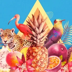 Colombia y sus frutas tropicales