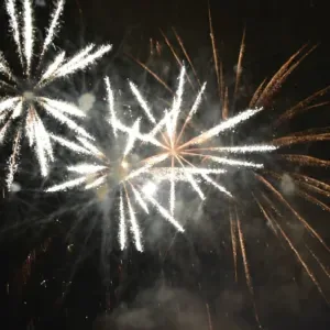 Fuegos artificiales iluminando el cielo nocturno con destellos brillantes