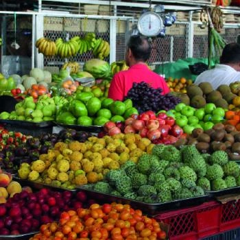 Sorpréndete con las 10 frutas típicas de Colombia