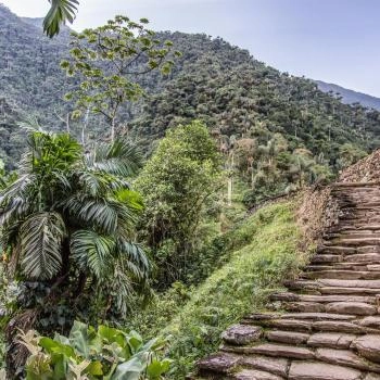 Enjoy the magic of the Lost City, with a natural staircase and vast vegetation that accompanies it