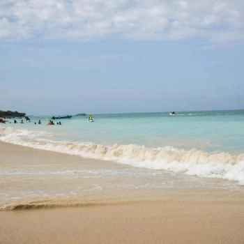 Conoce la playa de Barú - Vista de mar cristalino de las playas de Barú, la bahía con arena blanca y la vegetación cercana