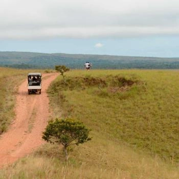 Carro de safari llanero en los llanos colombianos.