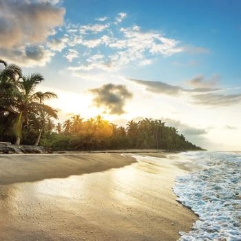 Besuche Palomino und genieße die Erholung und Abenteuer zwischen Gebirge, Meer und Flüssen.