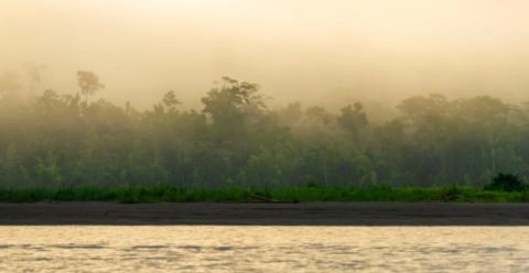 View of the Amazon River in Colombia with rainforest on its banks