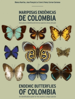 Mariposas