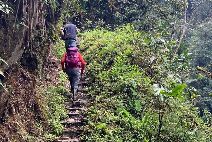 Chingaza Nacional Natura Park