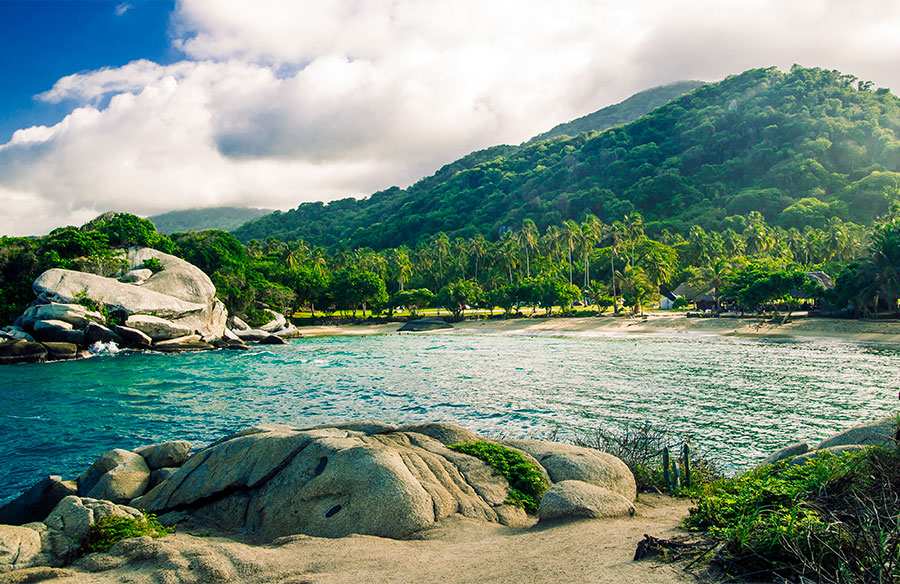 jungla en el parque nacional tayrona