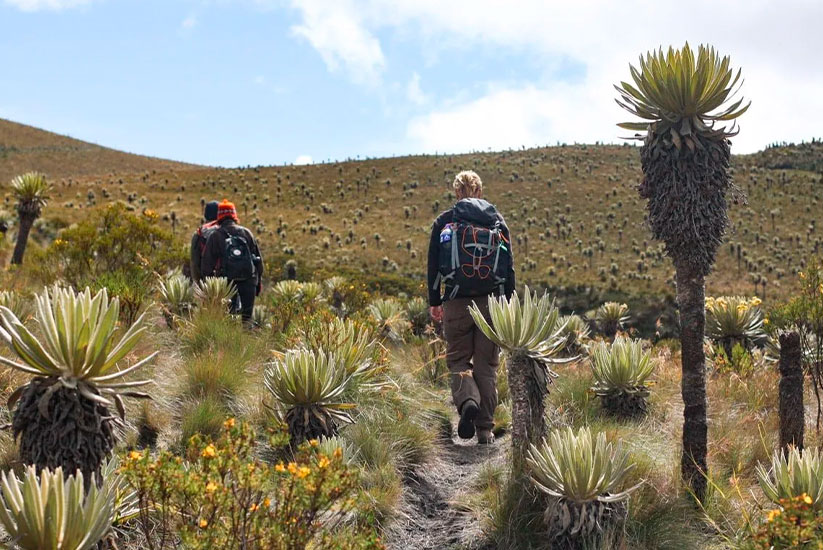 Trekking in Colombia