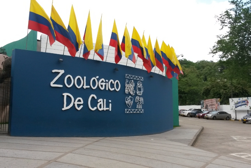 Le zoo de Cali est idéal pour une sortie en famille